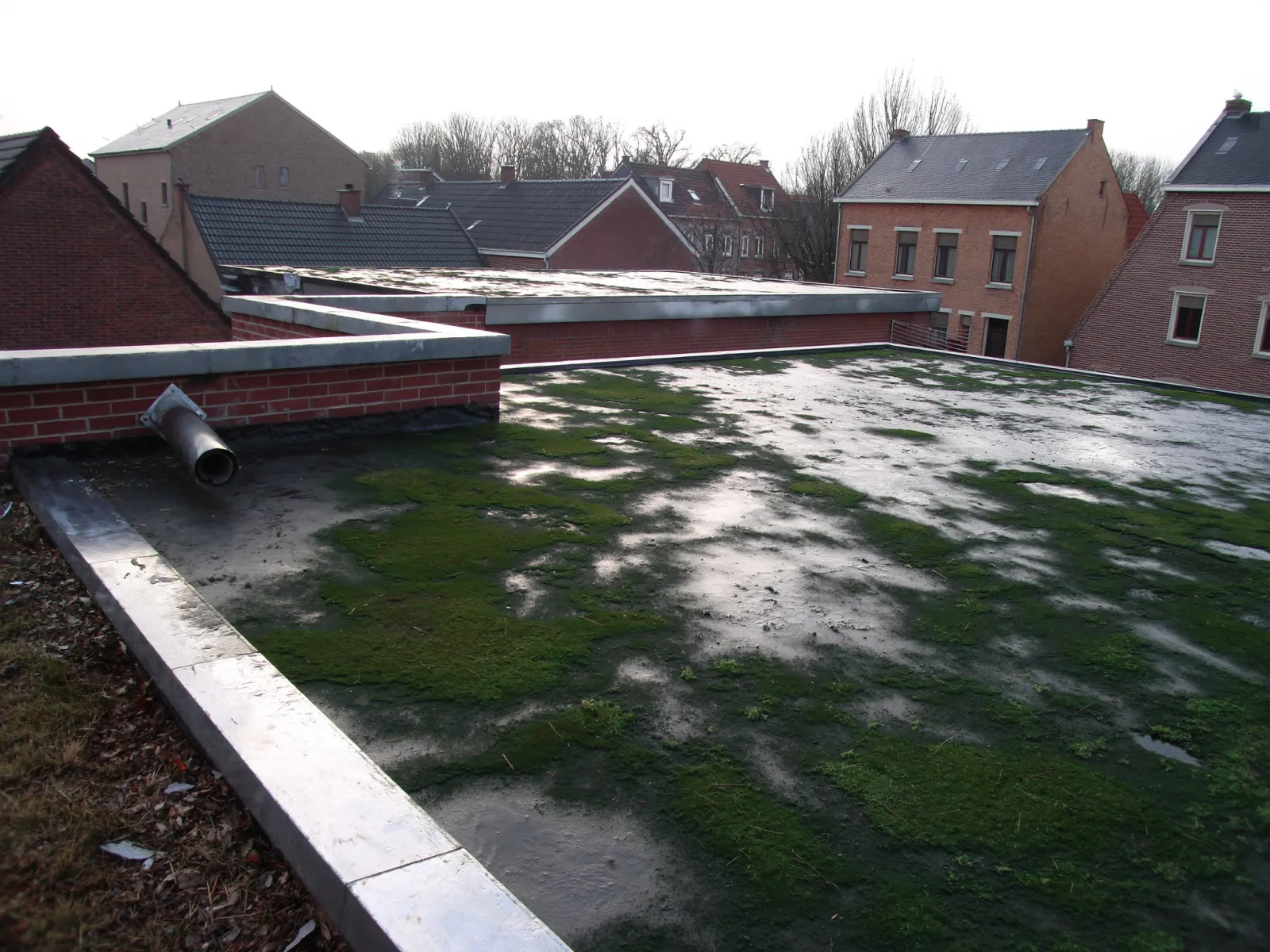 Plat dak in bitumen dakbedekking met mos en stilstaand water bij de dakafvoer